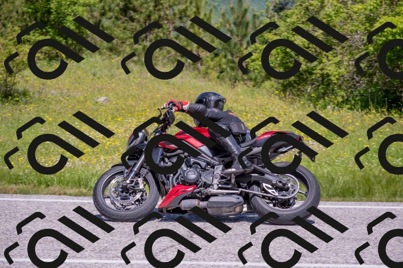 202506021124-DSC_7944_c4_