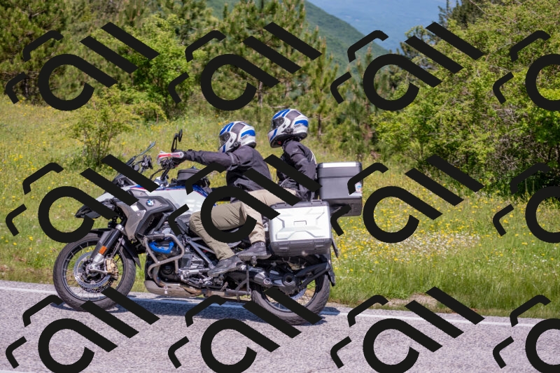 202506021125-DSC_7950_c4_