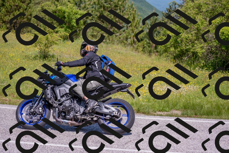 202506021125-DSC_7951_c4_