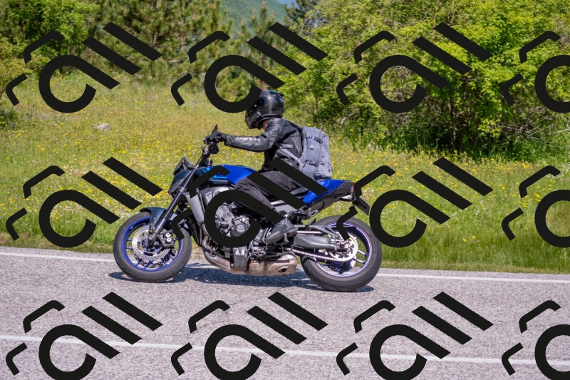 202506021125-DSC_7952_c4_