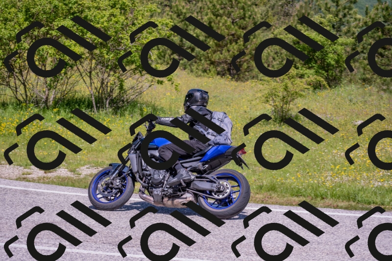 202506021125-DSC_7953_c4_