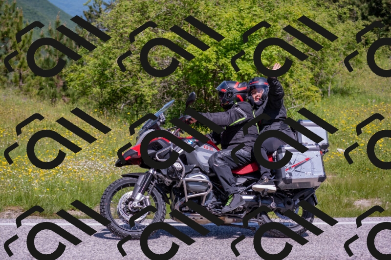 202506021125-DSC_7954_c4_