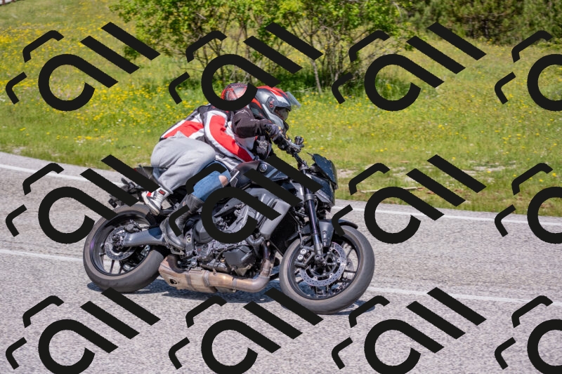 202506021126-DSC_7973_c4_