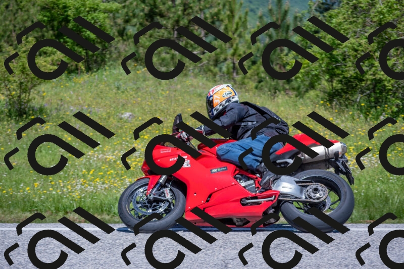 202506021126-DSC_7979_c4_