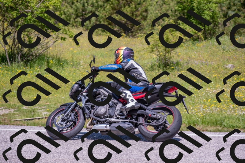 202506021126-DSC_7982_c4_