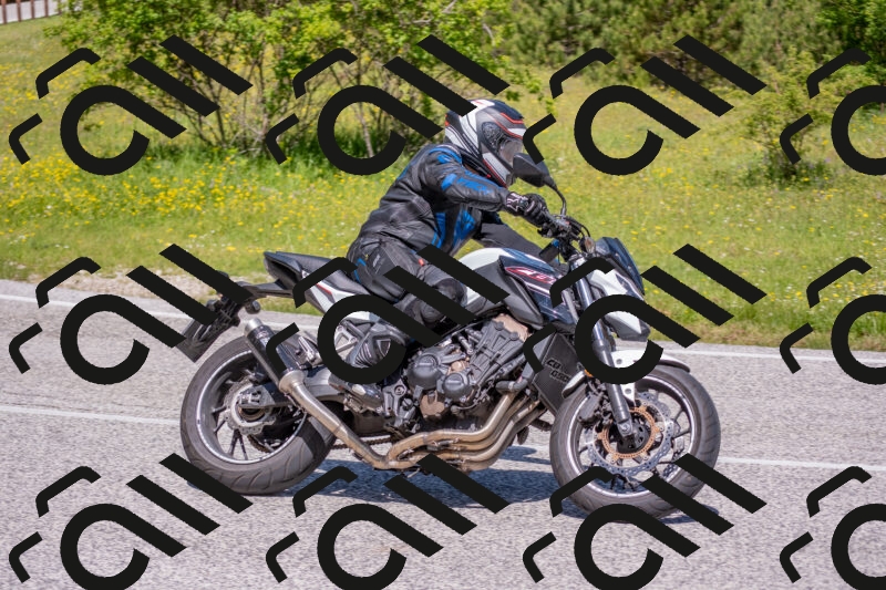 202506021127-DSC_7987_c4_