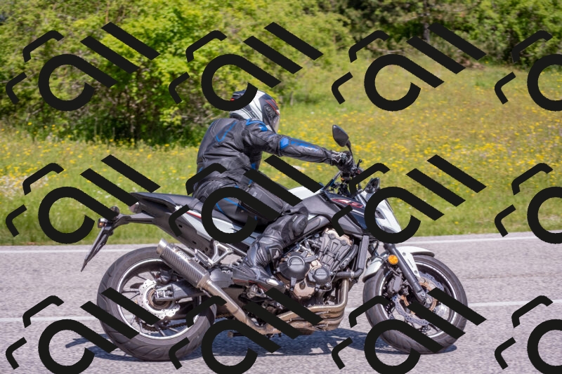 202506021127-DSC_7988_c4_