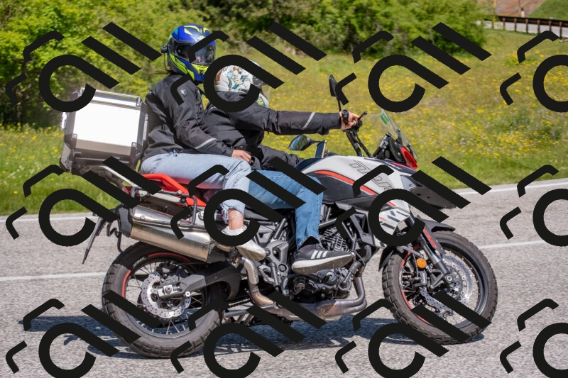 202506021127-DSC_7995_c4_