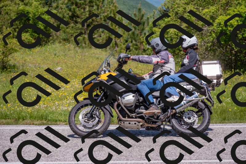 202506021130-DSC_8000_c4_