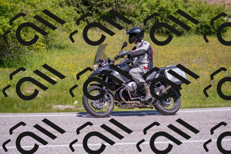 202506021130-DSC_8001_c4_