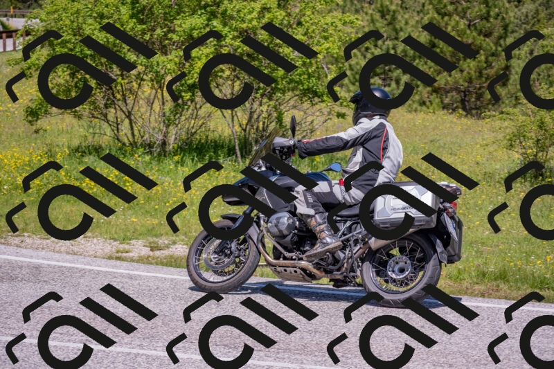 202506021130-DSC_8003_c4_