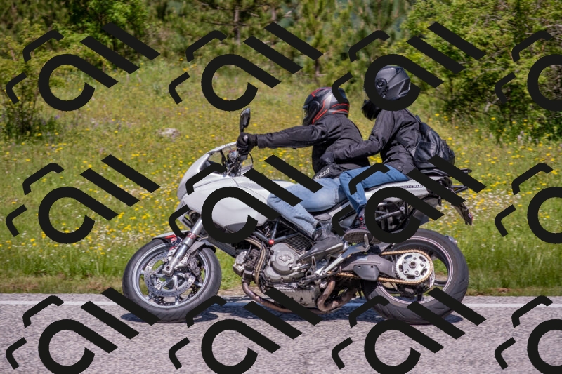 202506021130-DSC_8007_c4_