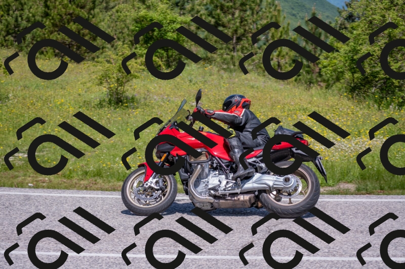 202506021130-DSC_8010_c4_