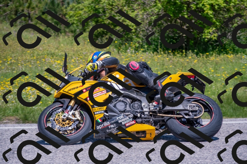 202506021131-DSC_8013_c4_