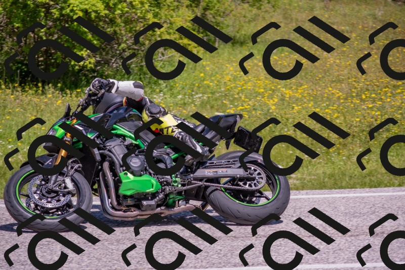 202506021131-DSC_8014_c4_