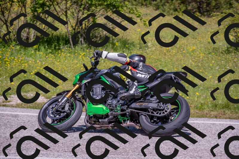 202506021131-DSC_8015_c4_