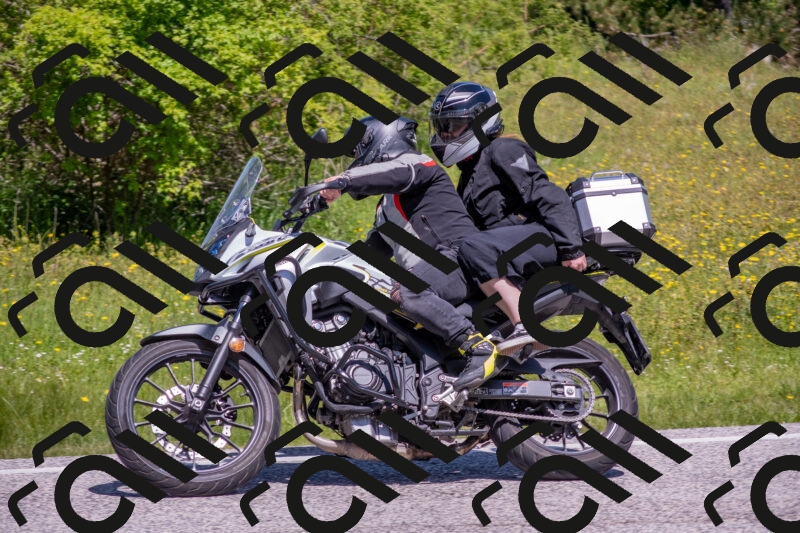 202506021131-DSC_8018_c4_