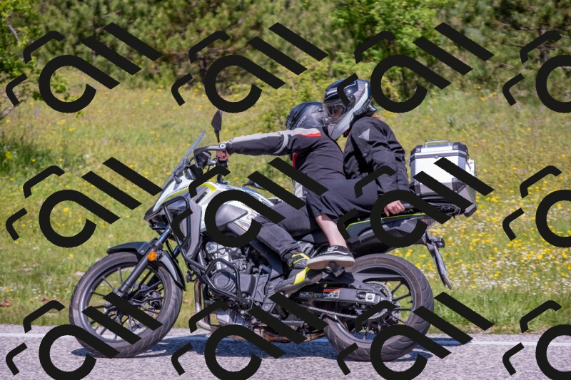 202506021131-DSC_8019_c4_