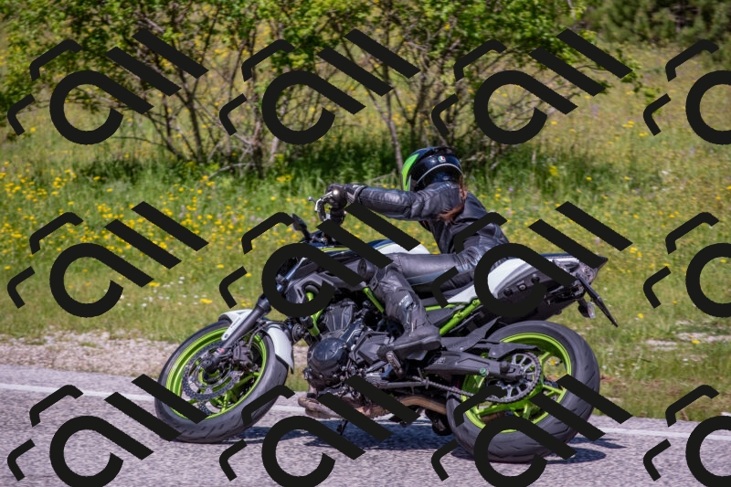 202506021131-DSC_8023_c4_