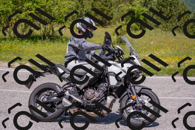 202506021131-DSC_8025_c4_