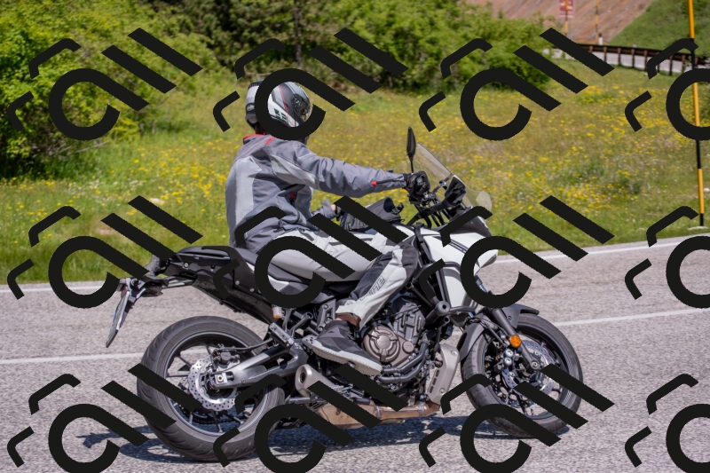 202506021131-DSC_8026_c4_