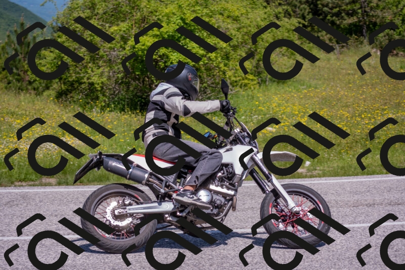 202506021132-DSC_8032_c4_