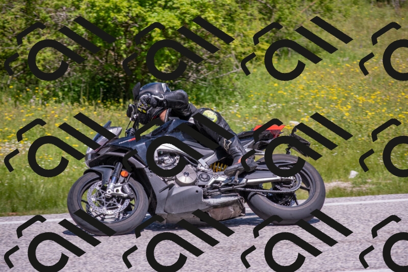 202506021134-DSC_8046_c4_