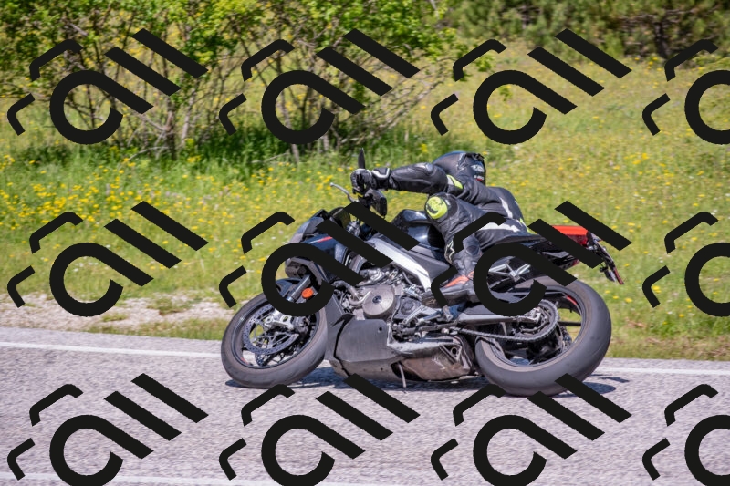 202506021134-DSC_8047_c4_