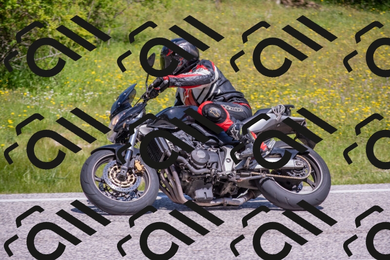 202506021134-DSC_8050_c4_