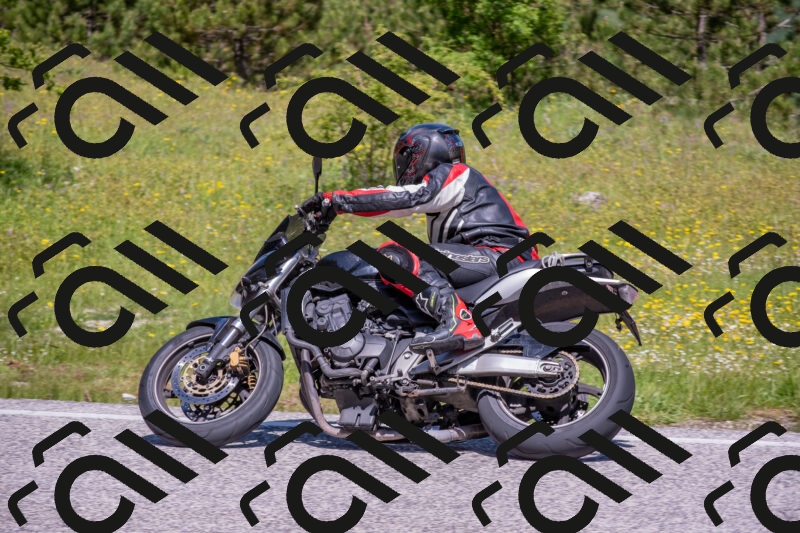 202506021134-DSC_8051_c4_