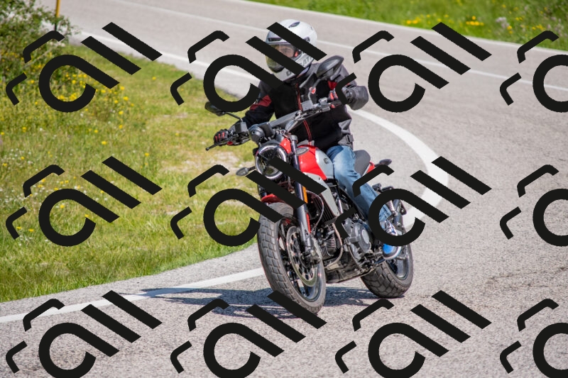 202506021135-DSC_8056_c4_