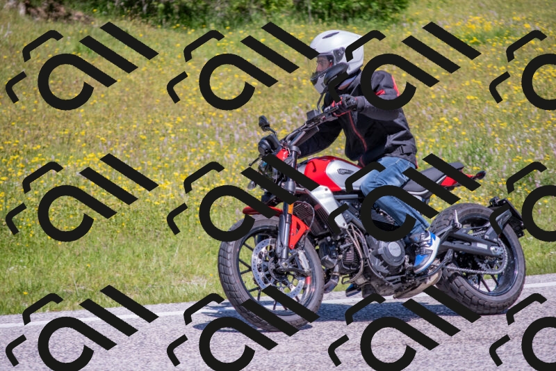 202506021135-DSC_8057_c4_