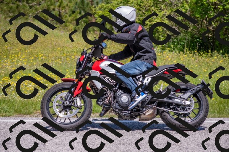 202506021135-DSC_8058_c4_