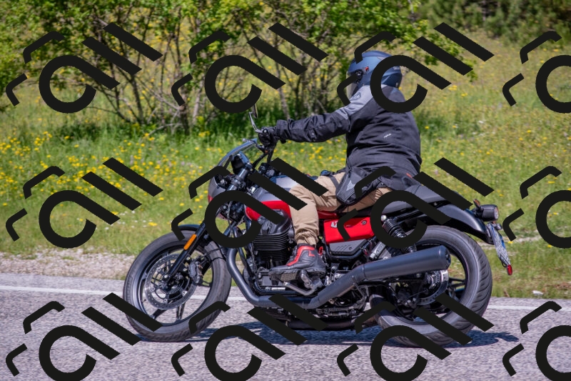 202506021135-DSC_8061_c4_