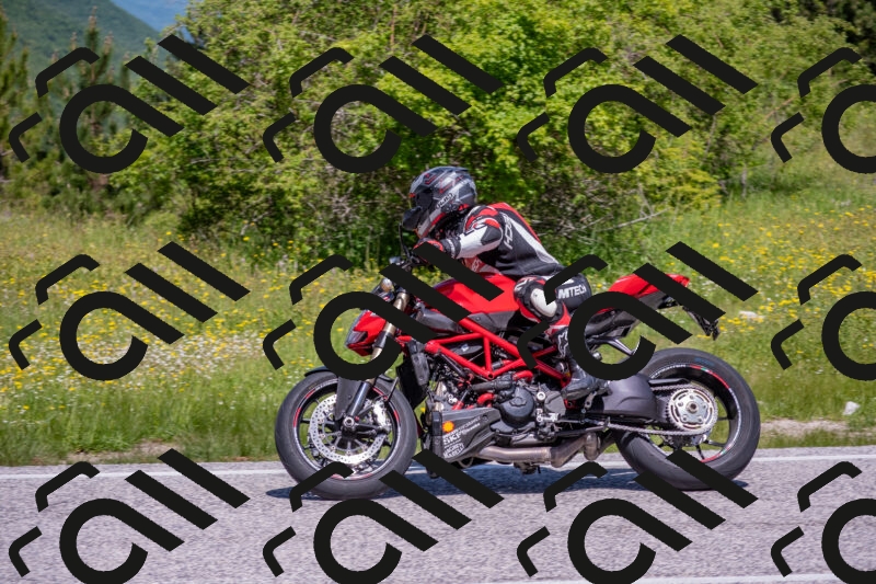 202506021136-DSC_8072_c4_