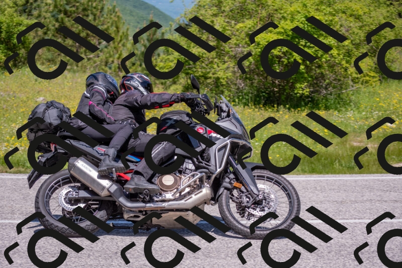 202506021136-DSC_8075_c4_