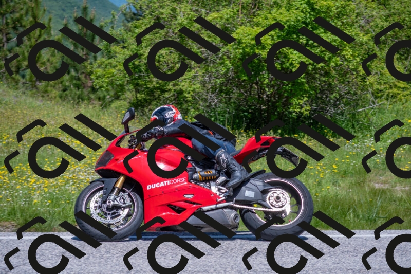 202506021136-DSC_8085_c4_