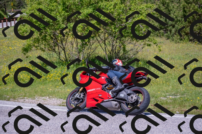 202506021136-DSC_8086_c4_