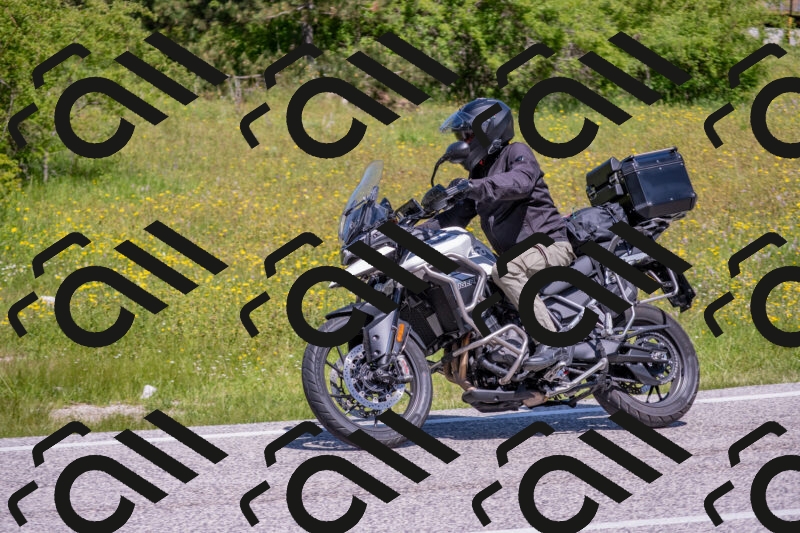 202506021136-DSC_8088_c4_