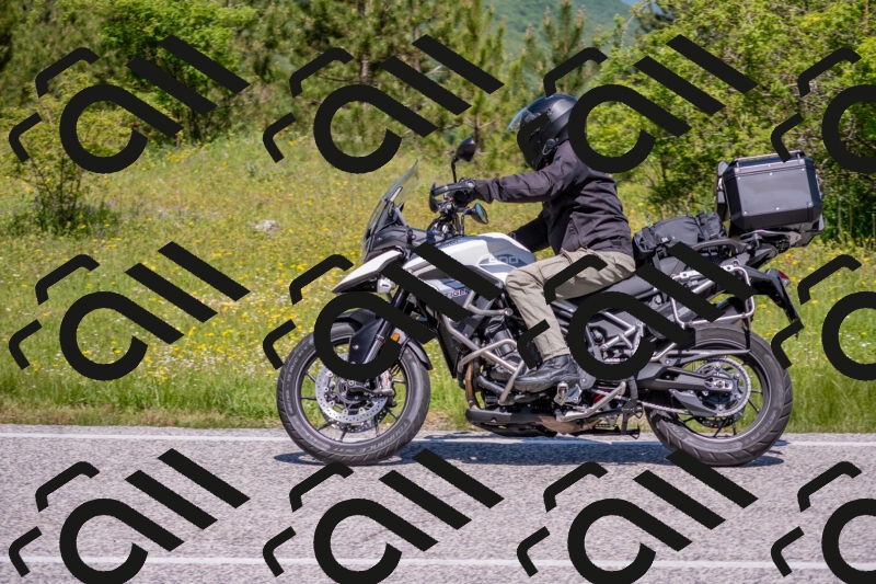 202506021136-DSC_8089_c4_