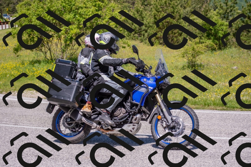 202506021137-DSC_8096_c4_