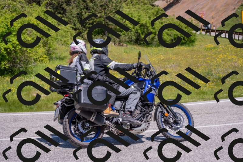 202506021137-DSC_8097_c4_