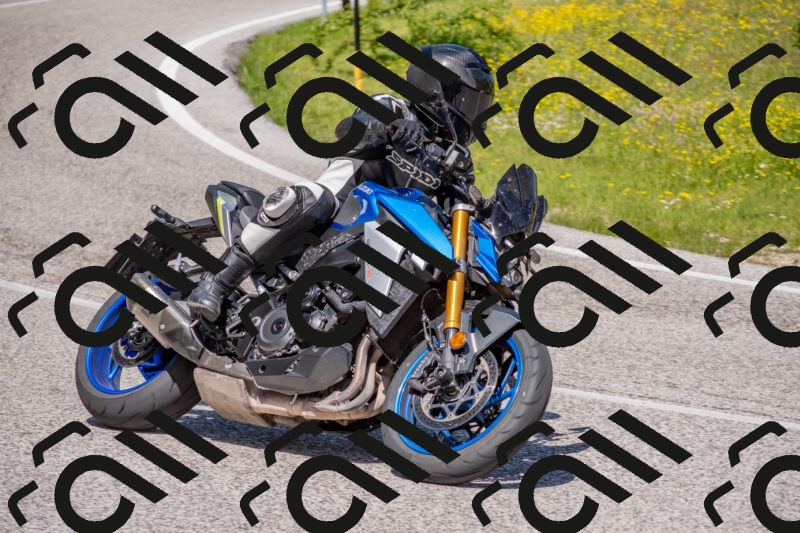 202506021137-DSC_8107_c4_