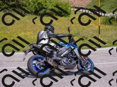 202506021137-DSC_8109_c4_