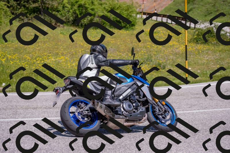 202506021137-DSC_8109_c4_