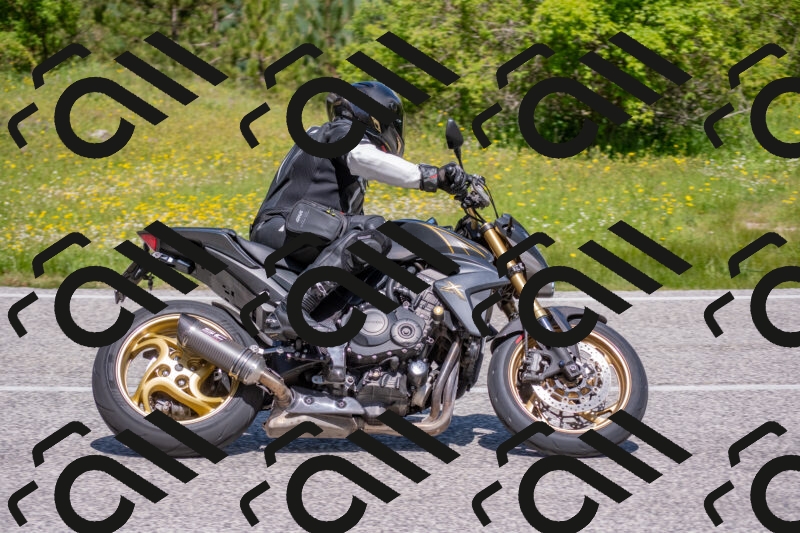 202506021137-DSC_8112_c4_