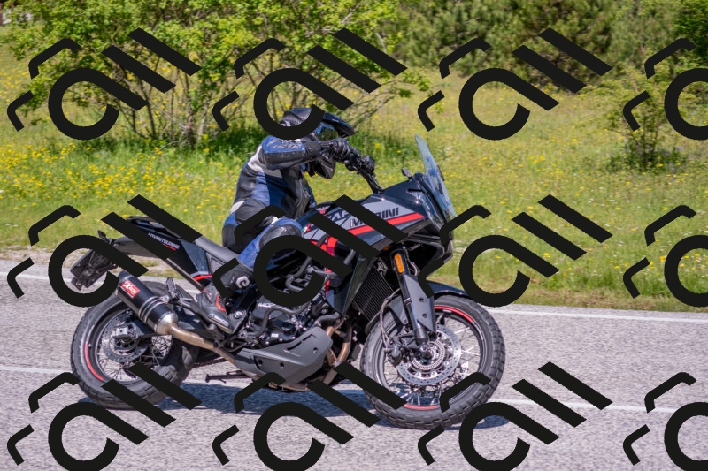 202506021138-DSC_8114_c4_