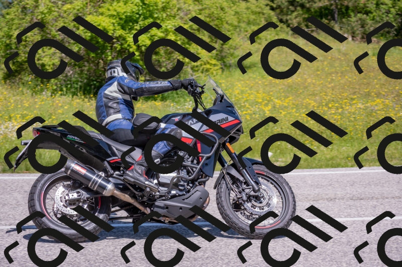 202506021138-DSC_8115_c4_