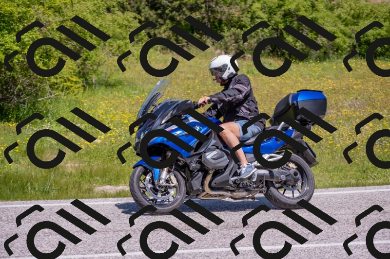 202506021138-DSC_8117_c4_