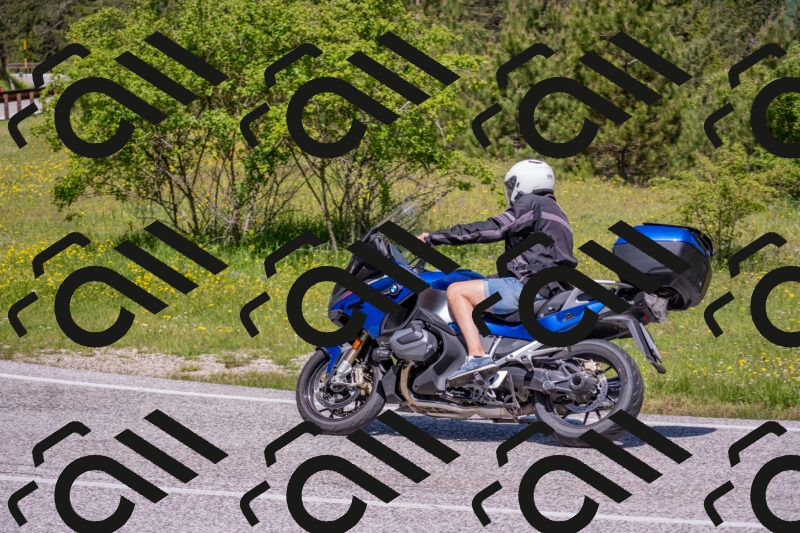 202506021138-DSC_8118_c4_